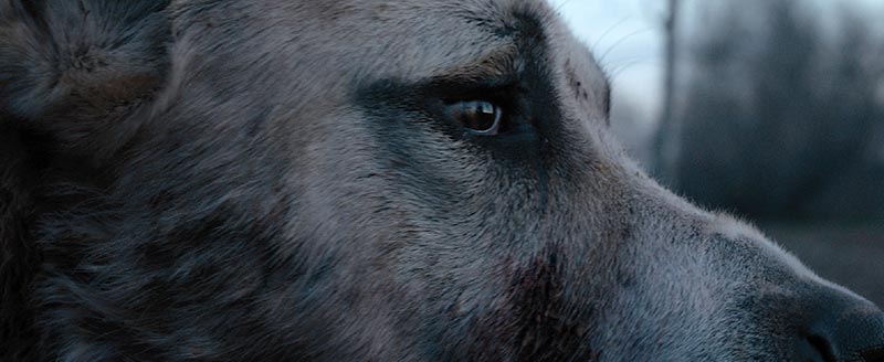 15021051196 e8ce1ba364 o